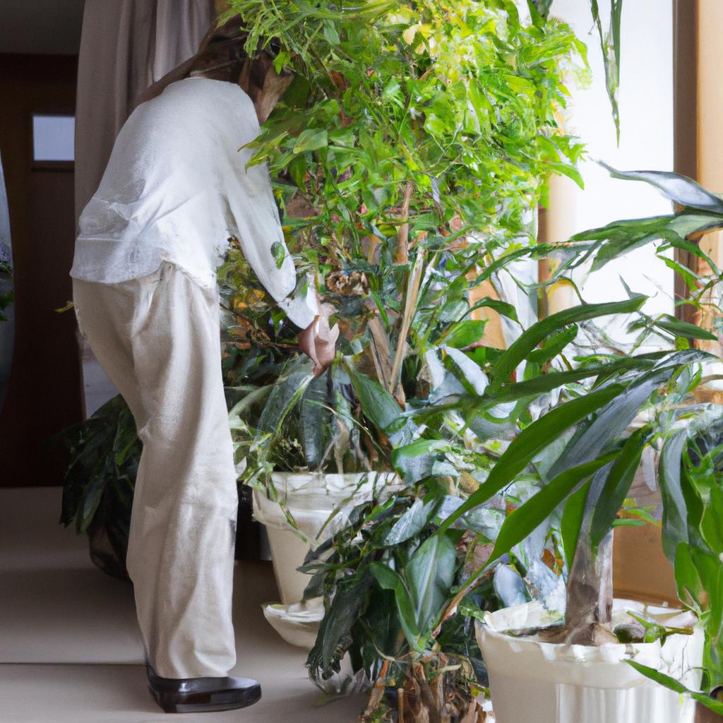 当店の観葉植物処分サービス